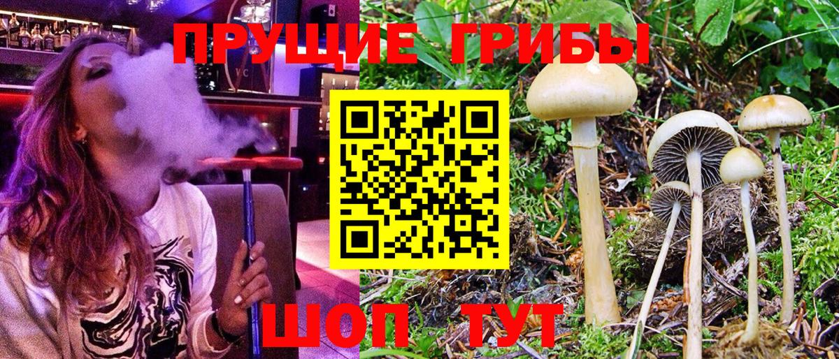 наркота  Галлюциногенные грибы GOLDEN TEACHER  Вход с VPN  Кольчугино 